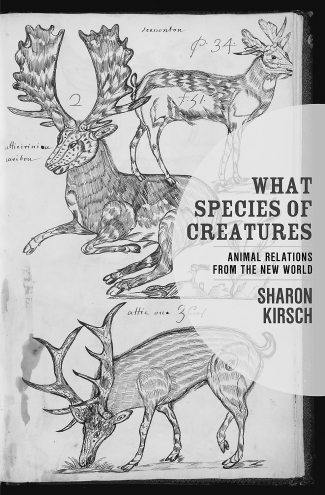 What Species of Creatures cover